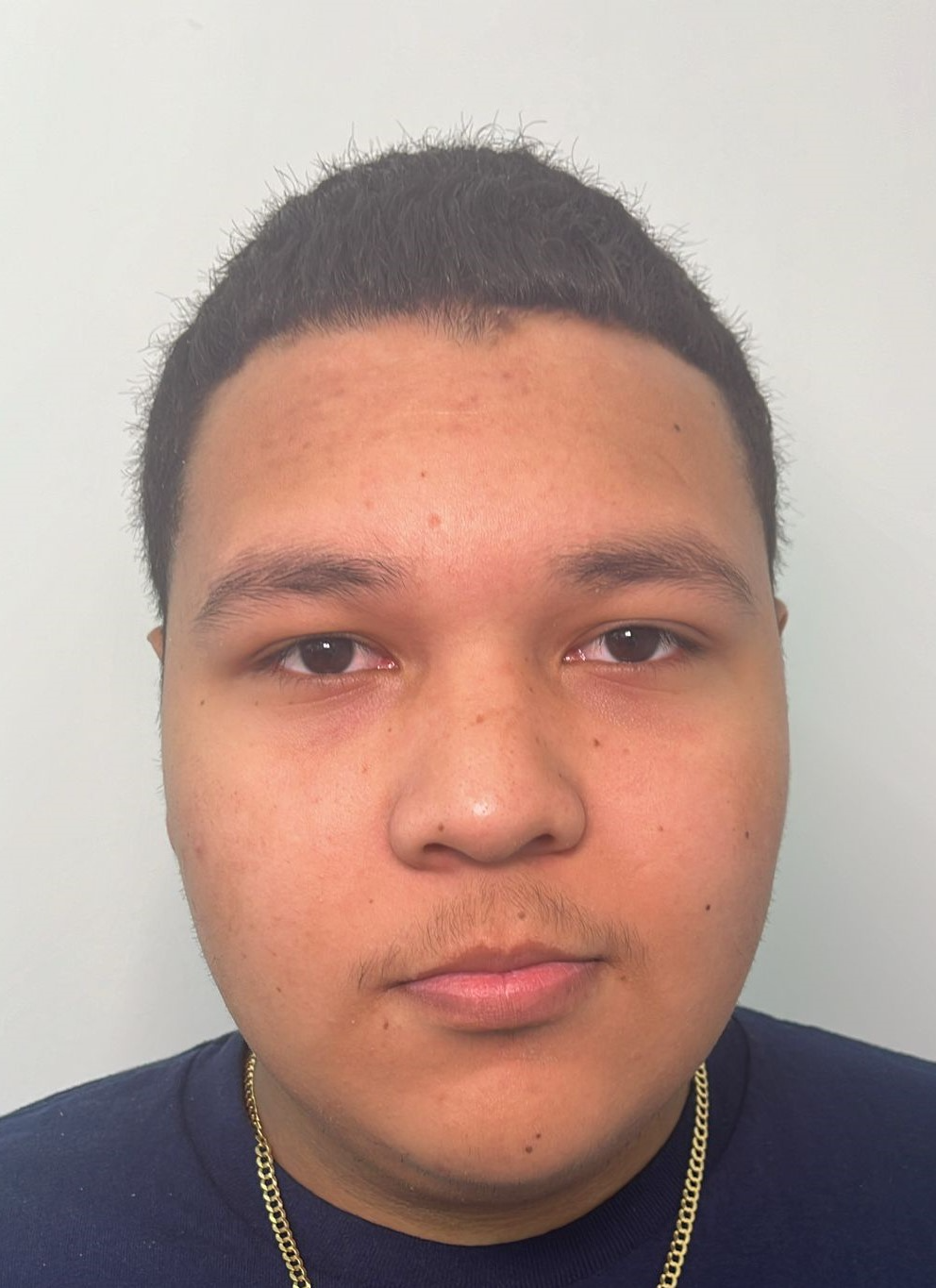 LUIS FERNANDO AVILES LOPEZ 